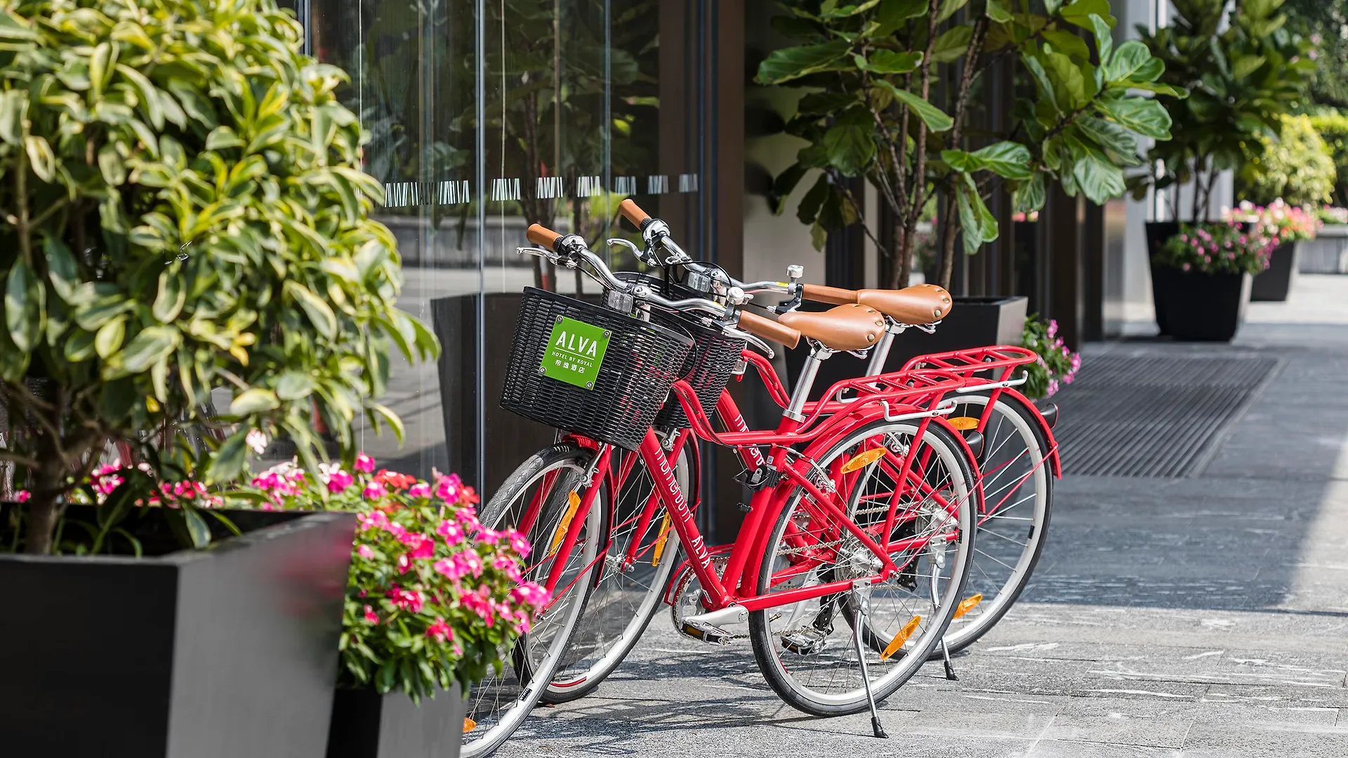 Alva Hotel By Royal Hong Kong